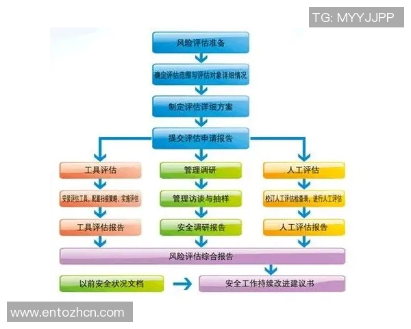杭州排球队防守策略分析与比赛表现评估