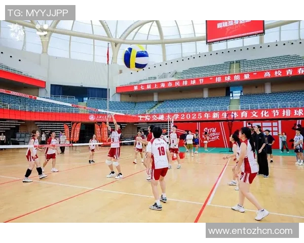 杭州排球队在排球个人能力排行榜中荣获第六名展现出强劲实力与潜力