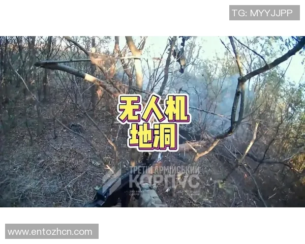 2017年卡昂与里尔激战回顾两队精彩表现与战术分析