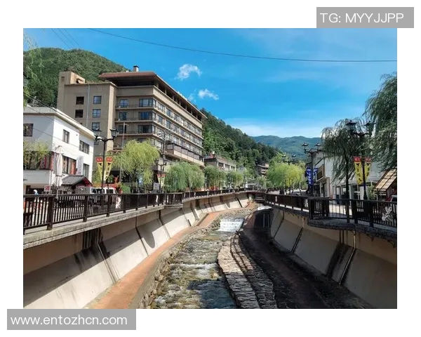 岐阜与千叶市的城市魅力对比探讨与文化交流之旅