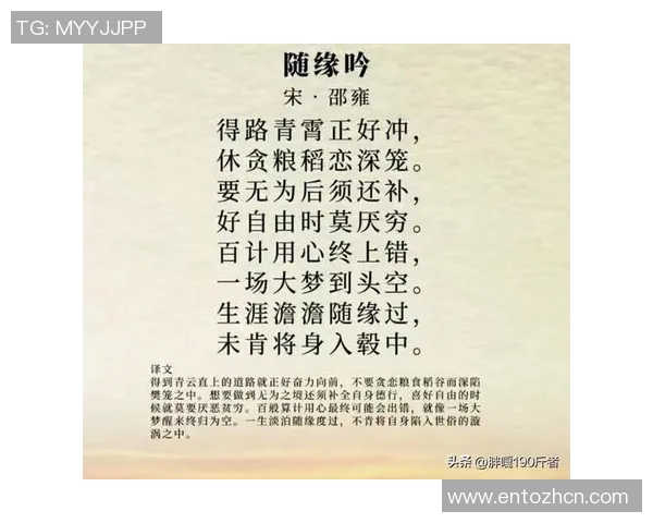 张宁的成长之路：从平凡到卓越的奋斗历程与人生启示