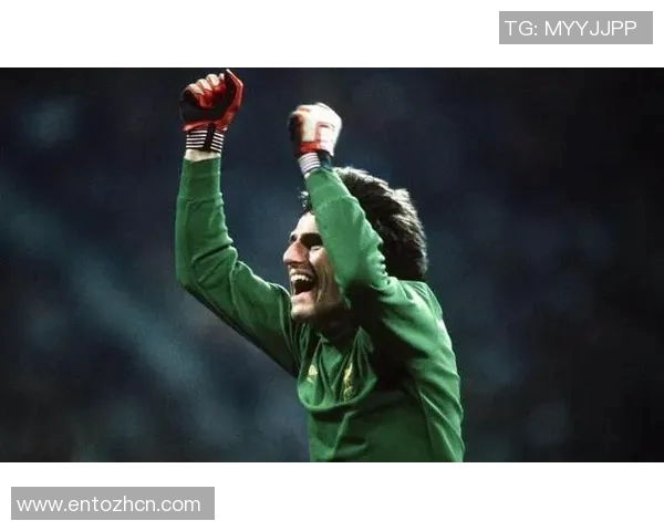 本泽马：从天才少年到足坛巨星的辉煌旅程与传奇故事